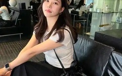 粉红色的火烈鸟下载